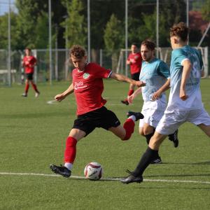 IMG 8934 IMG 8934