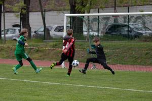 IMG 8768