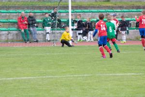 IMG 8851