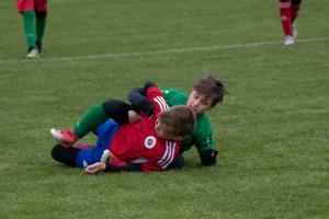IMG 8988