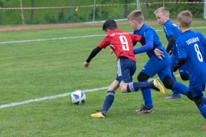 IMG 8391