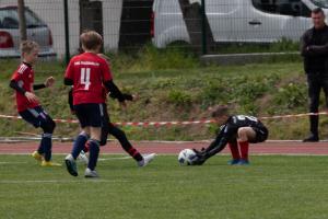 IMG 9429