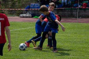 IMG 9713