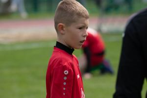 IMG 9231